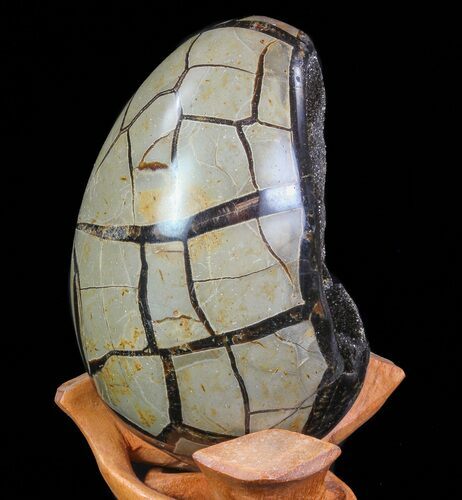 Septarian Dragon Egg Geode - Black Crystals #71997